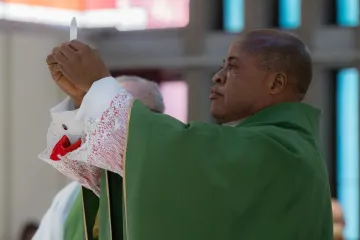 Cardinal Peter Ebere Okpaleke