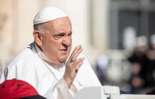 Pope Francis greets pilgrims at his general audience in St. Peter's Square at the Vatican, Wednesday, June 26, 2024. Credit: Daniel Ibanez/CNA