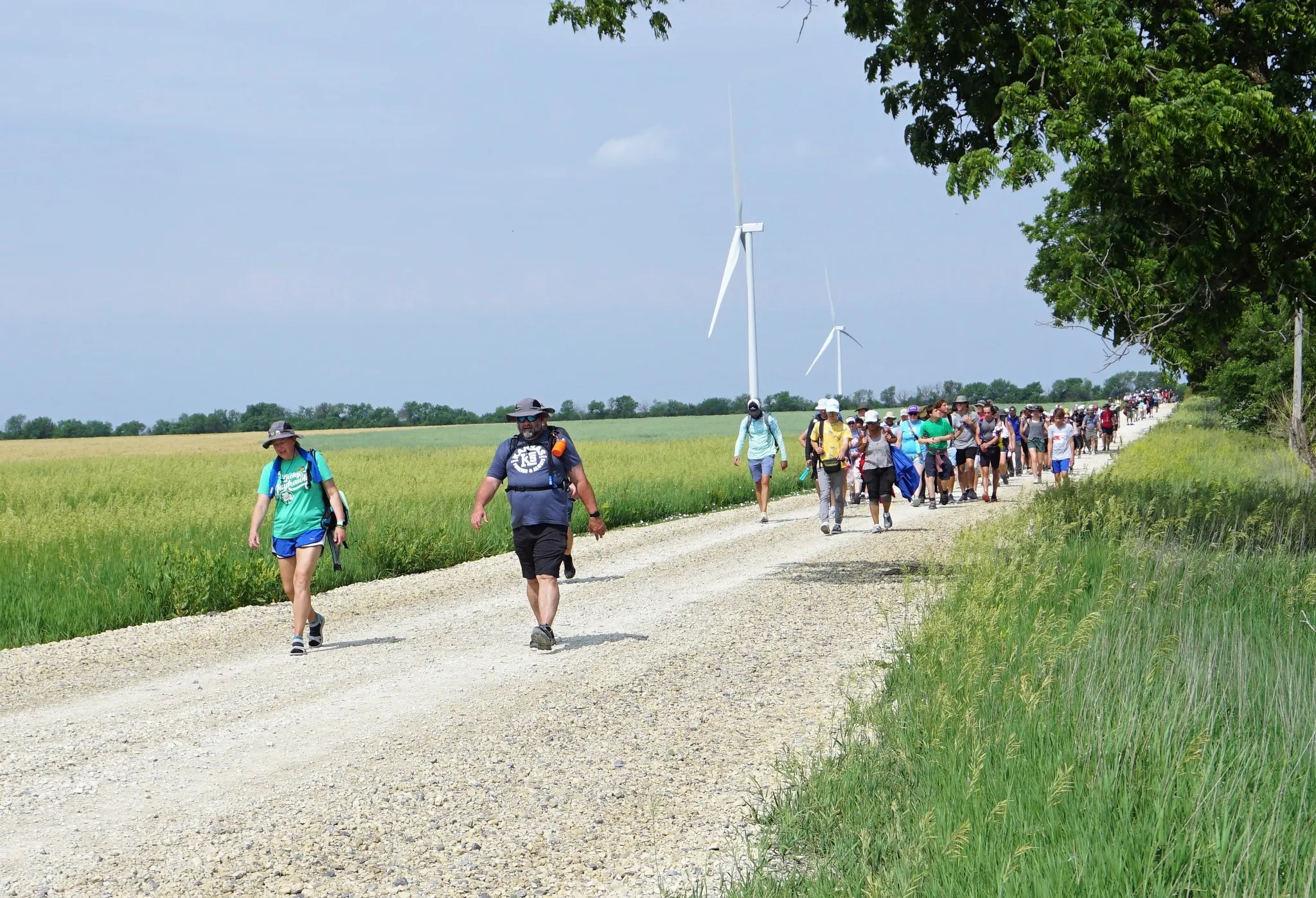 Pilgrims walk the Kansas Camino, which goes from Wichita to Father Emil Kapaun’s home parish in rural Pilsen, Kansas.?w=200&h=150