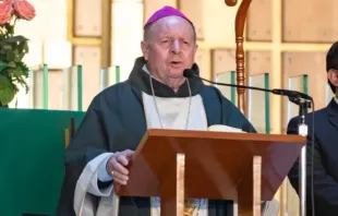 Cristóbal Ascencio García, the bishop of Apatzingán in the Mexican state of Michoacán, asked the Catholic faithful to pray "that a Mexico [living] in freedom and a Mexico capable of showing its faith and love may not be lost." Credit: National Basilica of St. Mary of Guadalupe