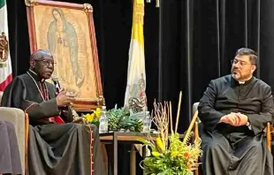 Cardinal Robert Sarah speaks alongside Father Guillermo Gutiérrez at the lecture at La Salle University in Mexico City on June 26, 2023. Credit: La Salle University