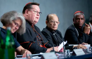 Cardinal Gerald Lacroix of Quebec speaks at a press briefing on the synod at the Holy See press office, Oct. 9, 2018. Credit: Daniel Ibanez/CNA