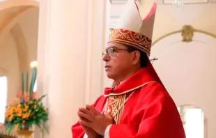 Archbishop Luis José Rueda Aparicio Credit: Archdiocese of Bogotá