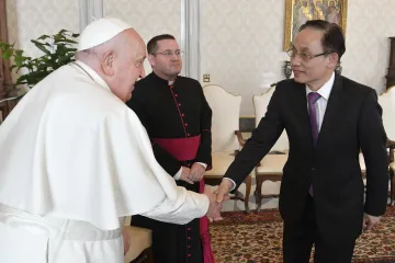 Pope Francis Vietnam