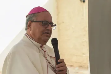 Auxiliary Bishop Ramón Benito Ángeles Fernánde