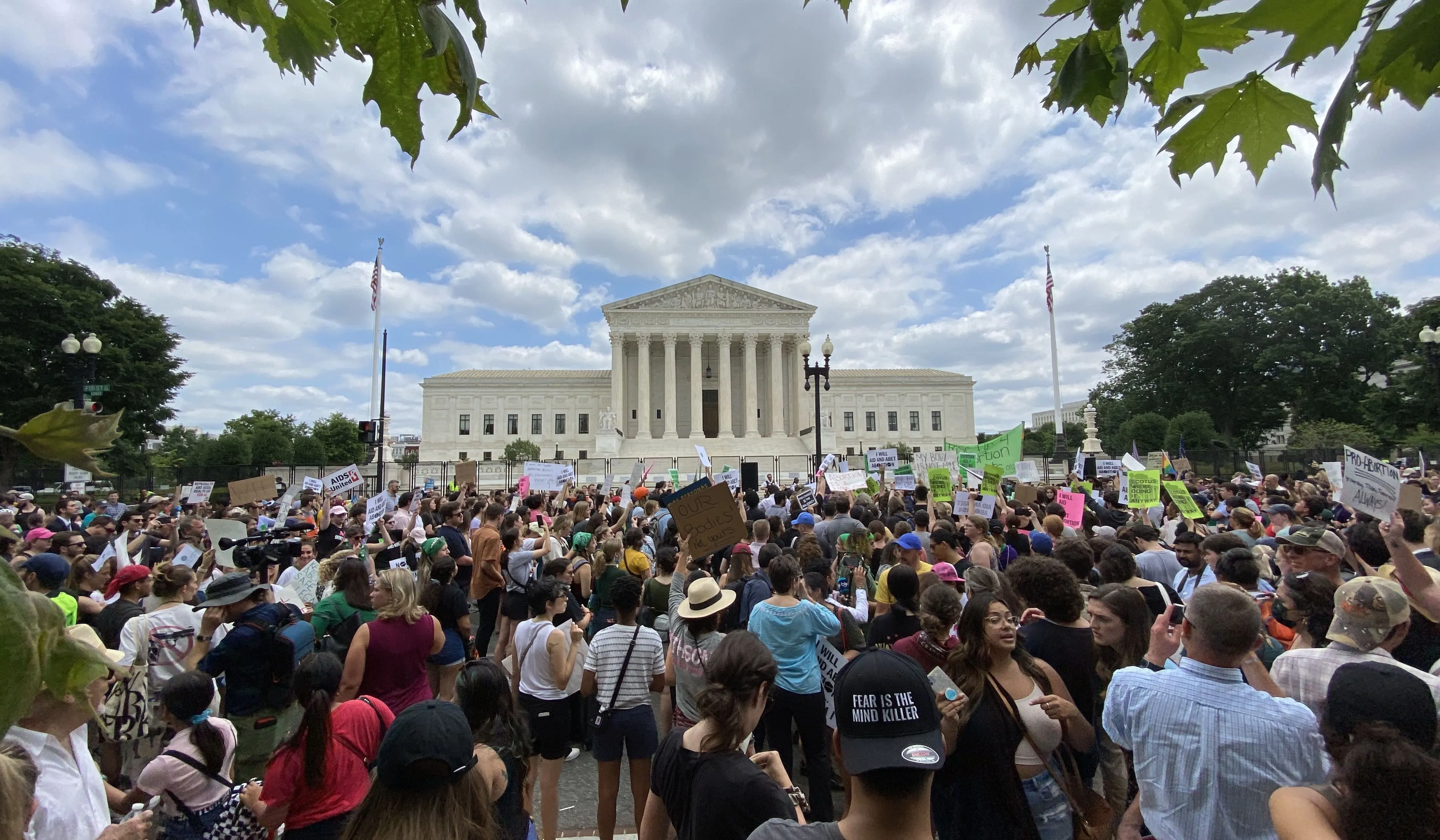 The scene outside the U.S. Supreme Court in Washington, D.C., after the court released its decision in the Dobbs abortion case on June 24, 2022. Pro-abortion demonstrators gradually made up a decided majority of the crowd as the day wore on.?w=200&h=150