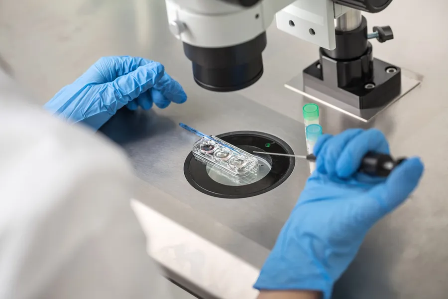 A technician does control check of the in vitro fertilization process using a microscope.?w=200&h=150