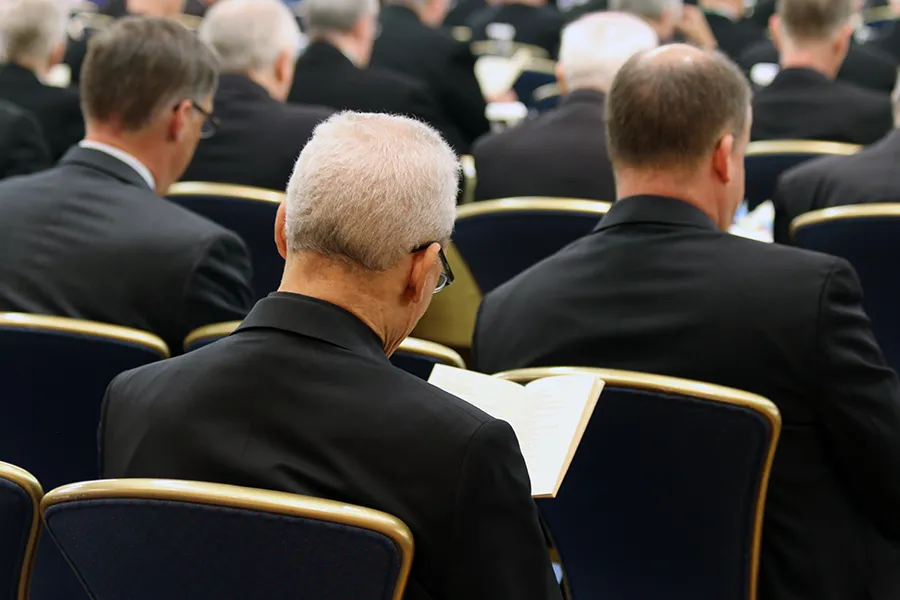 U.S. bishops gather in Baltimore for their spring assembly in 2019.?w=200&h=150