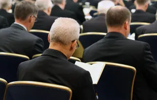 U.S. bishops gather in Baltimore for their spring assembly in 2019. Credit: Kate Veik/CNA