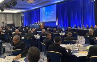 The United States Conference of Catholic Bishops meets for its fall plenary assembly meeting Nov. 14, 2023, in Baltimore. Credit: Joe Bukuras/CNA