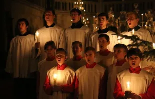 The Regensburger Domspatzen, a choir based at Regensburg Cathedral in Bavaria, Germany. Credit: Bistum Regensburg